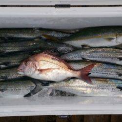 火遠理丸(ほおりまる) 釣果