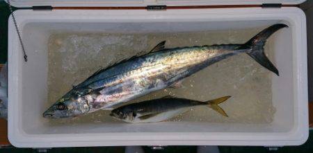 火遠理丸(ほおりまる) 釣果