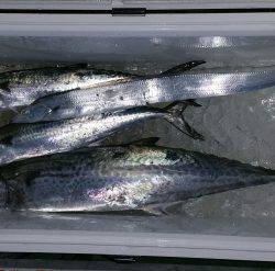 火遠理丸（ほおりまる） 釣果