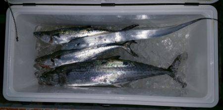 火遠理丸（ほおりまる） 釣果