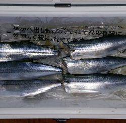 火遠理丸（ほおりまる） 釣果