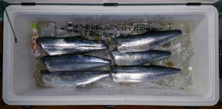 火遠理丸（ほおりまる） 釣果