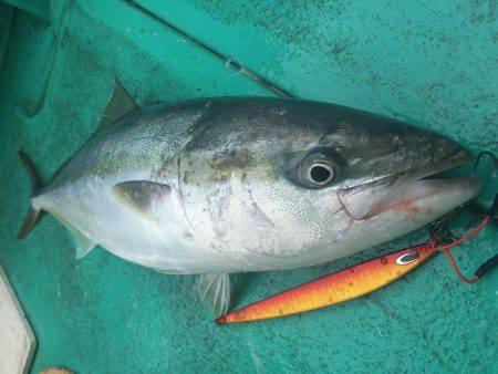広進丸 釣果