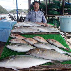 カタタのつり堀 釣果