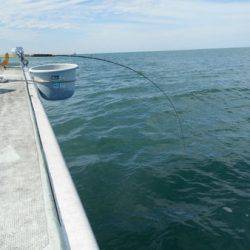 こうゆう丸 釣果