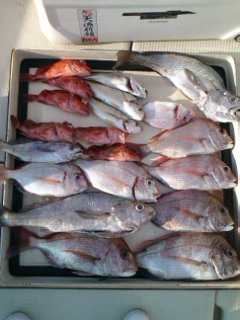 第二辰丸 釣果
