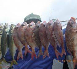 石川丸 釣果