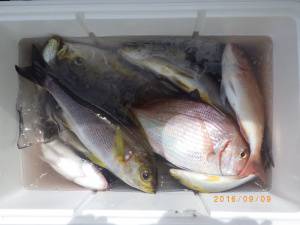 石川丸 釣果
