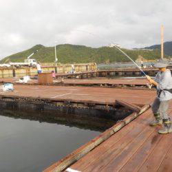 淡路じゃのひれフィッシングパーク 釣果
