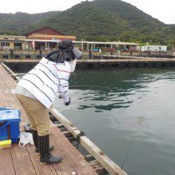 淡路じゃのひれフィッシングパーク 釣果