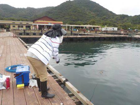 淡路じゃのひれフィッシングパーク 釣果
