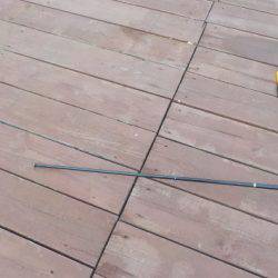 淡路じゃのひれフィッシングパーク 釣果