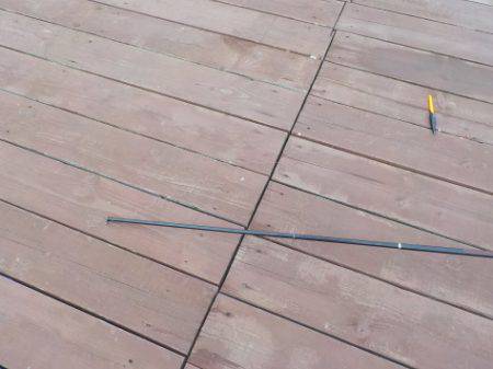 淡路じゃのひれフィッシングパーク 釣果