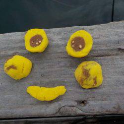 淡路じゃのひれフィッシングパーク 釣果