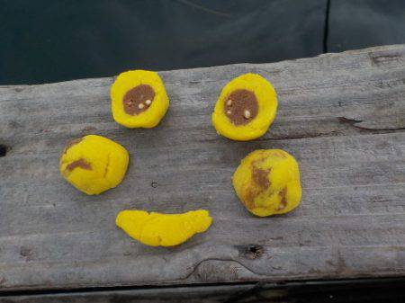 淡路じゃのひれフィッシングパーク 釣果