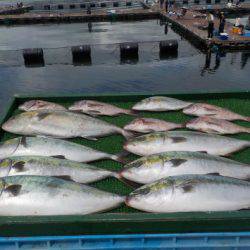 淡路じゃのひれフィッシングパーク 釣果