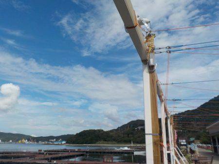 淡路じゃのひれフィッシングパーク 釣果