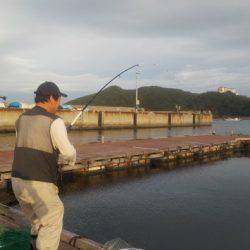淡路じゃのひれフィッシングパーク 釣果