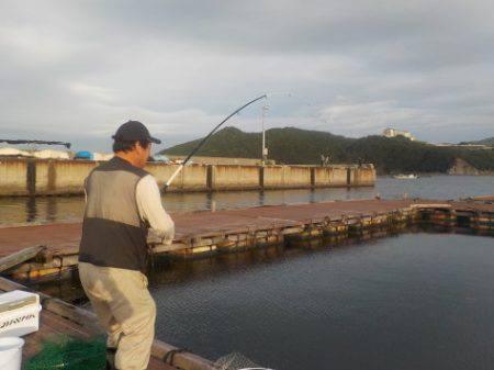 淡路じゃのひれフィッシングパーク 釣果