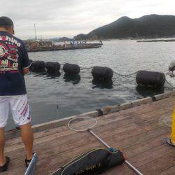 淡路じゃのひれフィッシングパーク 釣果