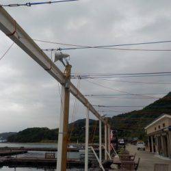 淡路じゃのひれフィッシングパーク 釣果