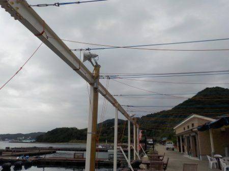 淡路じゃのひれフィッシングパーク 釣果