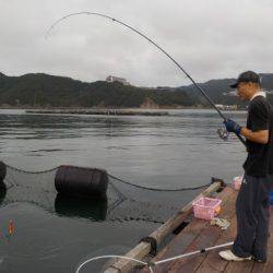 淡路じゃのひれフィッシングパーク 釣果