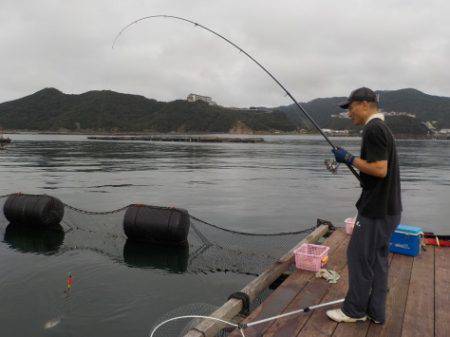 淡路じゃのひれフィッシングパーク 釣果