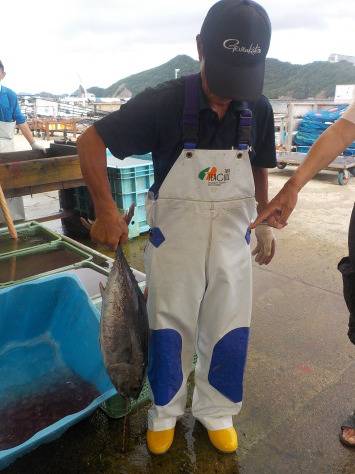 淡路じゃのひれフィッシングパーク 釣果