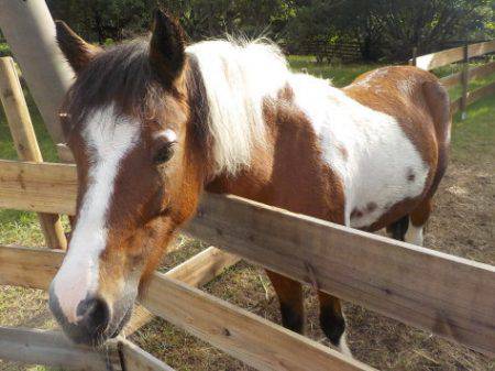 淡路じゃのひれフィッシングパーク 釣果