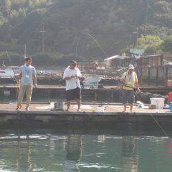 淡路じゃのひれフィッシングパーク 釣果