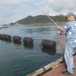 淡路じゃのひれフィッシングパーク 釣果
