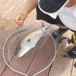 淡路じゃのひれフィッシングパーク 釣果