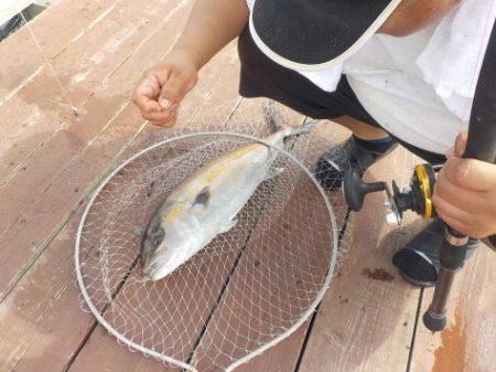 淡路じゃのひれフィッシングパーク 釣果