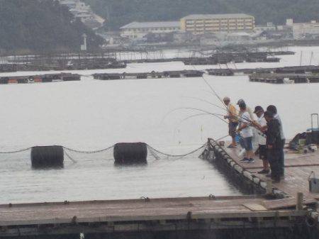 淡路じゃのひれフィッシングパーク 釣果