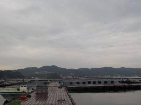 淡路じゃのひれフィッシングパーク 釣果