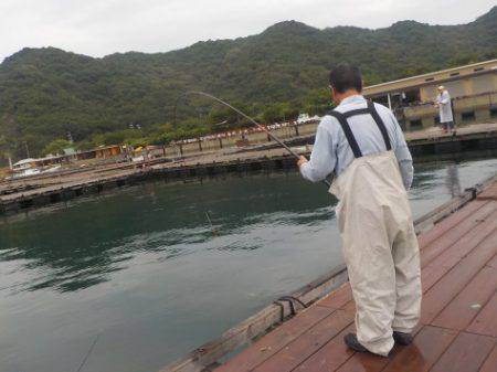 淡路じゃのひれフィッシングパーク 釣果