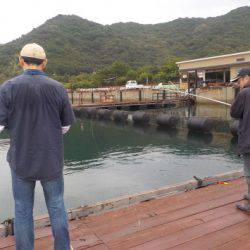 淡路じゃのひれフィッシングパーク 釣果