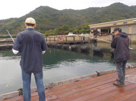 淡路じゃのひれフィッシングパーク 釣果