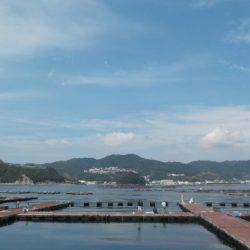 淡路じゃのひれフィッシングパーク 釣果