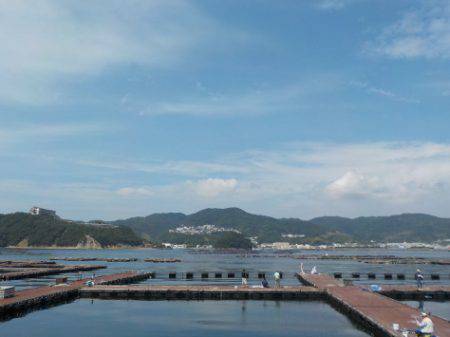 淡路じゃのひれフィッシングパーク 釣果