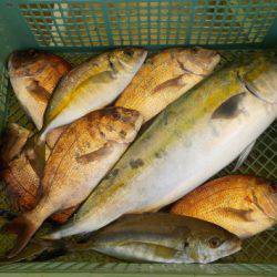 淡路じゃのひれフィッシングパーク 釣果