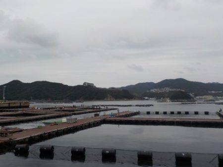 淡路じゃのひれフィッシングパーク 釣果