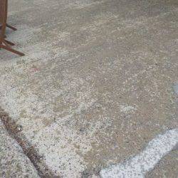 淡路じゃのひれフィッシングパーク 釣果