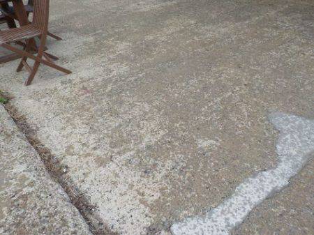 淡路じゃのひれフィッシングパーク 釣果