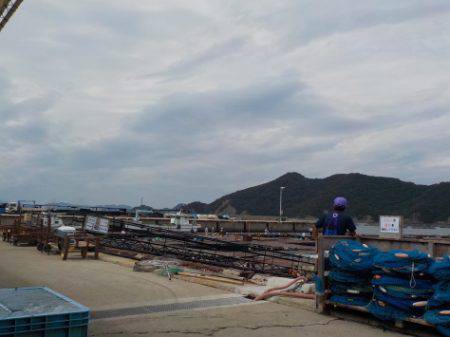 淡路じゃのひれフィッシングパーク 釣果