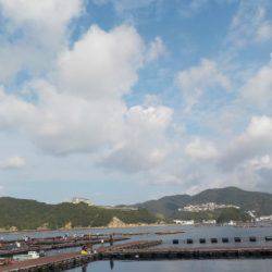 淡路じゃのひれフィッシングパーク 釣果