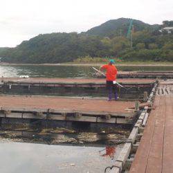 淡路じゃのひれフィッシングパーク 釣果