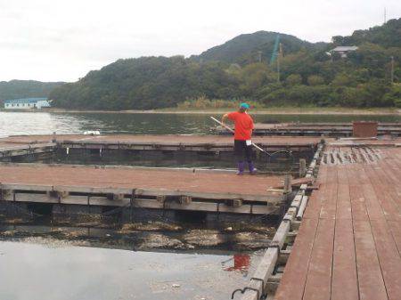 淡路じゃのひれフィッシングパーク 釣果