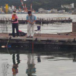 淡路じゃのひれフィッシングパーク 釣果